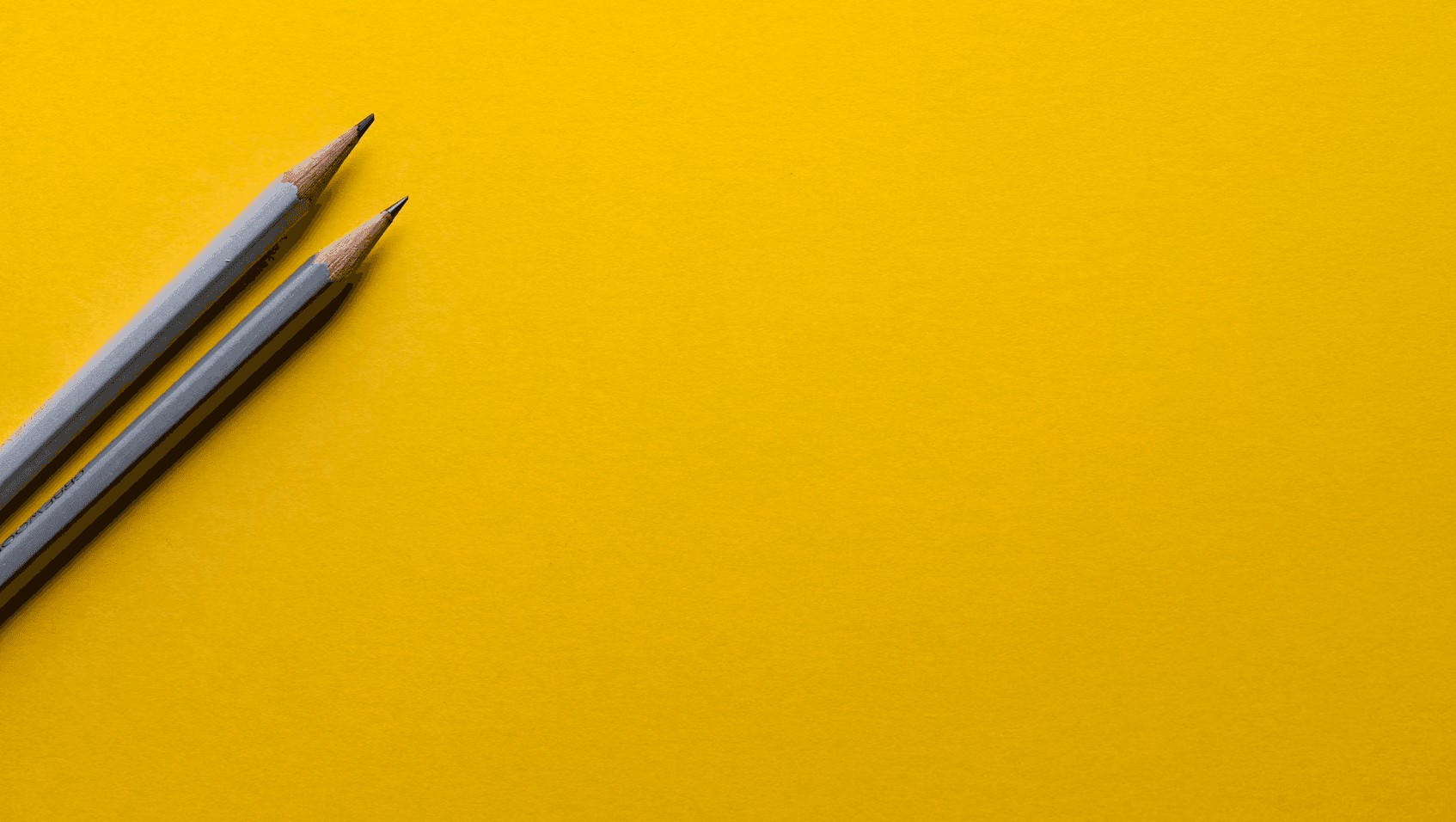 Mentorship program template