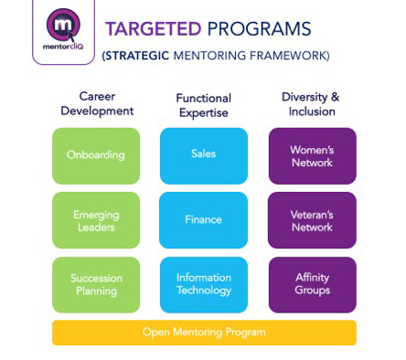 MentoringProgram_Strategy_Mentorcliq