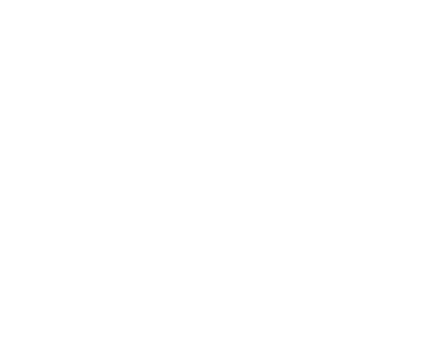 mentoring champion 2021