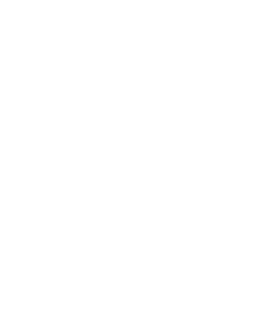 MC Spotlight logo white