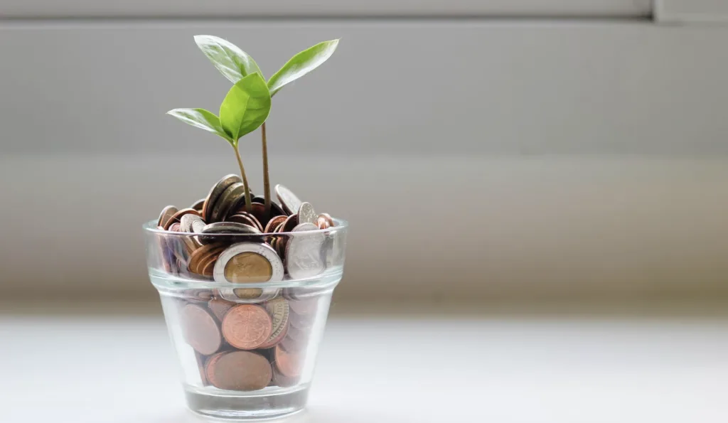 Plant growing in money for financial long-term goal setting.