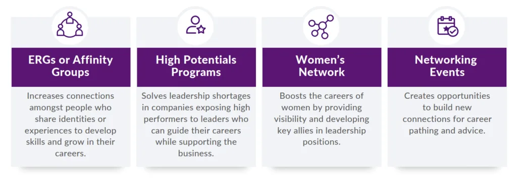 DEI strategies using different programs, including ERGs, high potential programs, women's networks, and networking events.